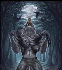 images?q=tbn:ANd9GcRT4XdtSlyeSE4M3lM-0iuYl0vwjlfe9665iRnjG1V-zQ&s