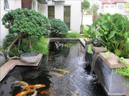 Jasa Pembuatan Kolam Koi Minimalis Di Malang Kolam Ikan Halaman Belakang Kecil Taman Indah