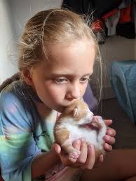 Diefers Legacy Animal Rescue