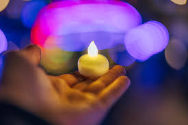 Head down to Carroll Creek Park