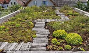 Auch Begrunte Dacher Konnen Wertvolle Lebensraume Darstellen Natugarten Da Roof Garden Vertical Herb Gardens Green Roof