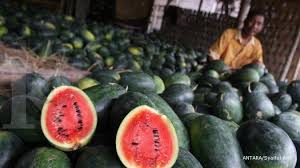 Yang penting tahu caranya dan cara itu dilaksanakan dengan baik dan benar. Berikut Makanan Yang Ampuh Menurunkan Tekanan Darah Tinggi Anda