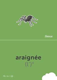 Araignee Cardfly Flience Animals French Education Flashcard Language Italya