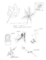 Scienceccweek10 Classical Conversations Science Week Classical Conversations Foundations