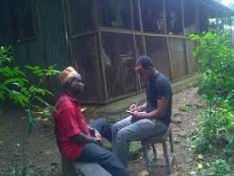 Image result for Monanthotaxis poggei