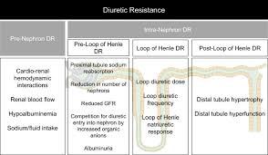 Image result for Loop Diuretic