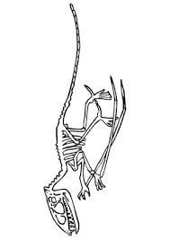 Hier finden sie kostenlose ausmalbilder für kinder rund um dinosaurier und die steinzeit. Ausmalbild Dinosaurier Knochen Zum Ausdrucken