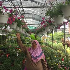 Batu.wwwsituated in sungai buloh, this vacation home is within 12 mi (20 km) of kota damansara community for… Photos At Kedai Bunga Tang Nursery