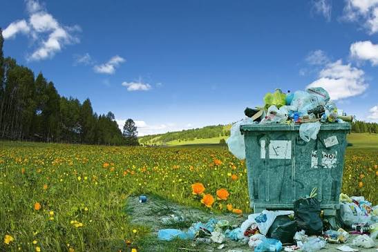 Plastic pollution crisis