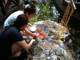 Sungai klah hot springs is nestled in the serene and lush forest patches, surrounded by hills and clear cold mountain streams and rivers. Sungai Klah Hot Spring Park Sungkai Aktuelle 2021 Lohnt Es Sich Mit Fotos Tripadvisor