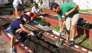 Dig in and find a community garden near you; 5 Ways To Start A Community Garden Hobby Farms