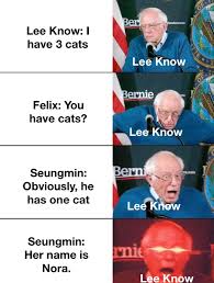 The lord of the rings: Stray Kids Lee Know Meme Kpoppers