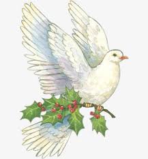 من ناحية رسم حمامة السلام Christmas Bird Christmas Images Free Christmas Images