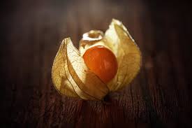 Here are the world's weirdest and most exotic fruits in terms of appearance, flavor, and the different ways in which they grow. Top 10 Rarest Fruits To Try From Around The World