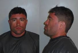 Man, 28, tears down stop sign at Bainbridge and Barrington in 'fit of rage' 