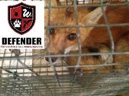 Defender pest control has been serving cedar lake, in, and the surrounding area's pest control needs since 1998. Defender Pest Control 11900 Mccook St Cedar Lake In Pest Control Mapquest