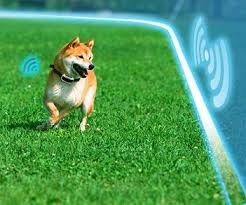 Besides good quality brands, you'll also find plenty of discounts when you shop for wireless dog fence during big sales. 30 Best Electric Wireless Dog Fences Underground Invisible Dog Fence Pet Fence Dog Fence Dog Training Collar