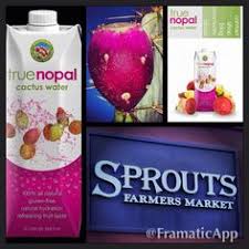 People consume them as a dietary vegetable, and they in many parts of mexico, vendors sell fresh nopal juice after using only tap water to rinse the plant. 16 True Nopal Cactus Water New Hydrating Beverage Prickly Pear Super Fruit Refreshing Drink Cactus Water Healthy Antioxidants Low Calorie Gluten Free Ideas Cactus Water Prickly Pear Cactus
