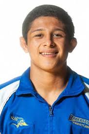 2018-2019 NCAA Wrestling All Ear Team