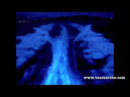 Plug Light Boat Led Under Water Light Youtube