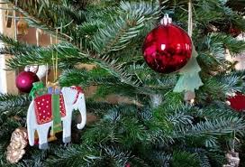 Wann werden die weihnachtsbäume im emsland abgeholt? Weihnachtsbaume Werden Eingesammelt