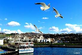 Turkiye Trt Avaz Panosundaki Pin