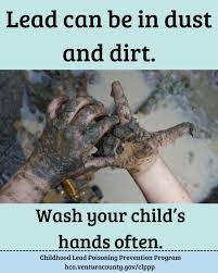 Image result for Lead Poisoning