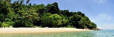 There are multiple hotels in pulau perhentian besar that will please the whole family. Die 10 Besten Hotels In Perhentian Inseln Malaysia Ab 18