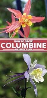 Pin On Gardens