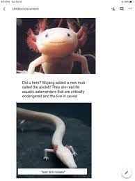 Minecraft axolotl la creatura pegatina. I Really Want The Olms In Minecraft If You Cant Tell Thor Gift Thorgift Com If You Like It Please Buy Some From Thorgift Com