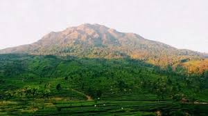Maybe you would like to learn more about one of these? Gunung Ungaran Tribunnewswiki Com Mobile