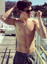 He began to attract followers after he started to post cover videos on video sharing website. Shawn Mendes Weight Height And Age We Know It All