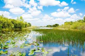 The sunshine state has mystified visitors since the first explorers dug their heels into the earth and began camping here five centuries ago. 11 Great Rv Retirement Communities In Florida Camper Report