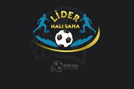 sosyalhalisaha com