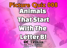 Community contributor would you rather spend a day as. Trivia Quiz For Kids Picture Trivia 008 B Animals Octrivia Com