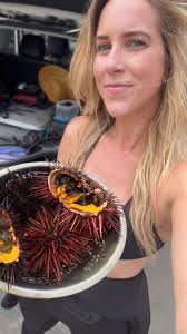 Update: The voice over in this video states that purple urchin are  invasive. Due to factors like predator decline and warming ocean  temperatures, the purple urchin have surged in population, resulting ...