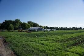 To Get A Full And Accurate Picture Of The State Of Organic Agriculture We Must Look At All The Relevant Data Pro Organic Farming Farm Sustainable Agriculture