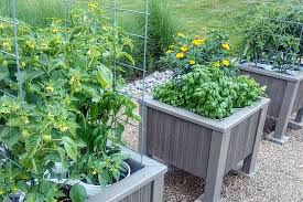 When growing organically you have to learn how to use some simple techniques to ward off pests in the garden. 3 Secrets To Stop Garden Pests Naturally How To Keep Plants Bug Free