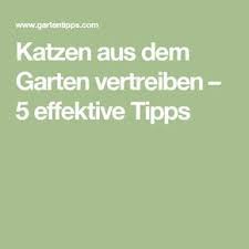 Katzen Aus Dem Garten Vertreiben 5 Effektive Tipps Vertreiben Katzen Tipps
