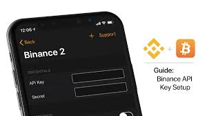 Go to the exchange section on binance home page and under that choose advanced. How To Get Your Binance Api Keys And Use Them Full Guide