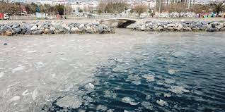 Kötü kokuyor, aylar önce geldi ve gitmiyor. Deniz Salyasi Marmara Dan Sonra Ege De Ortaya Cikti
