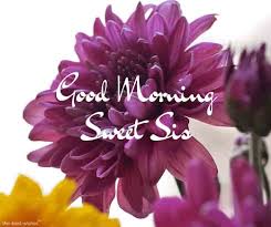 It's the sweetest show of gratitude for a new day, my honey. 120 Lovely Good Morning Wishes And Greetings For Sister