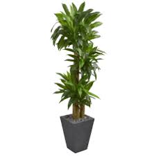 18 silver aglaonema artificial plant in decorative planter (real touch) $93.99. Buy Artificial Plants At Office Depot Officemax
