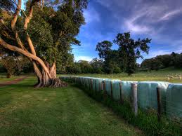 Check spelling or type a new query. Free Download Paisajes Wallpapers Hd Taringa 1600x1200 For Your Desktop Mobile Tablet Explore 50 Taringa Wallpapers Hd Cool Wallpapers Hd 1920x1080 Hd Wallpaper Wallpapers For Desktop