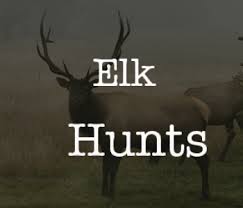 Your exceptional knowledge of the area and the elk had us inside the herds continuously. Hale Outfitting Wyoming S Premier Outfitter Book Your Hunt Today