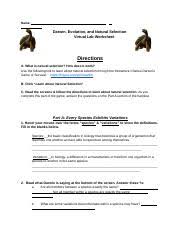 Natural selection is the most important mechanism behind evolution. Copy Of Darwin Evolution Natural Selection Virtual Lab Name Darwin Evolution And Natural Selection Virtual Lab Worksheet Directions A What Is Course Hero