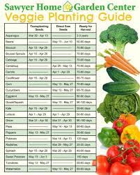 Start Planting But What Plants Garden Center Gardening Tips