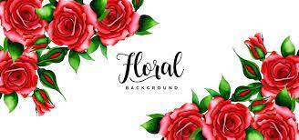 Red Rose Natural Background Watercolor Flower Illustration Rose Illustration Floral Background
