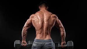 Body, wheel well, door trim. Pin On Training Fitness
