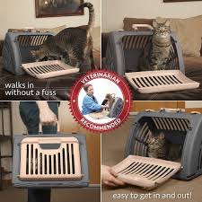Sportpet Designs Foldable Travel Cat Carrier Front Door Plastic Collapsible Carrier To View Further For This Item Vis Cat Cages Cat Carrier Crate Carrier